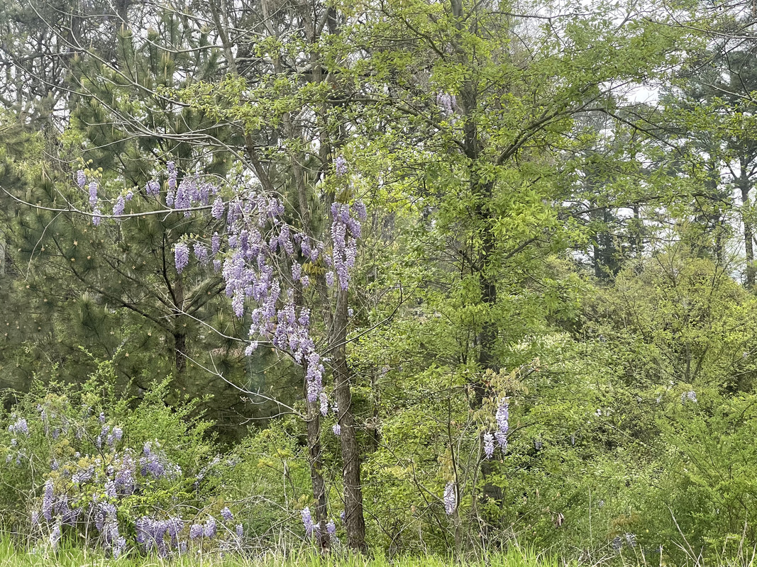 CC94FFA6-C897-4F11-99DB-9D078B56617A