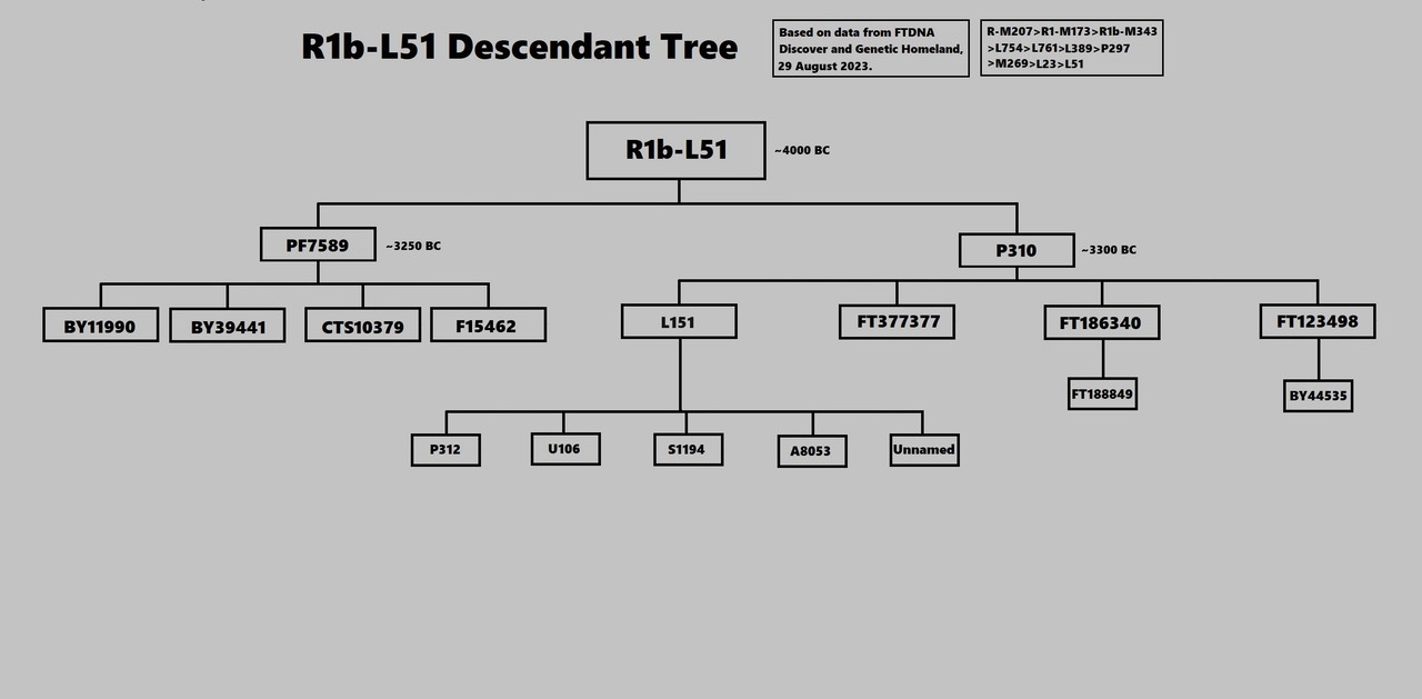 R1b-L51 Descendant Tree