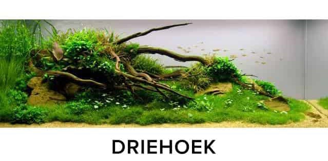 504315DA-9FDC-45C7-84AF-486E0F5FBD0F