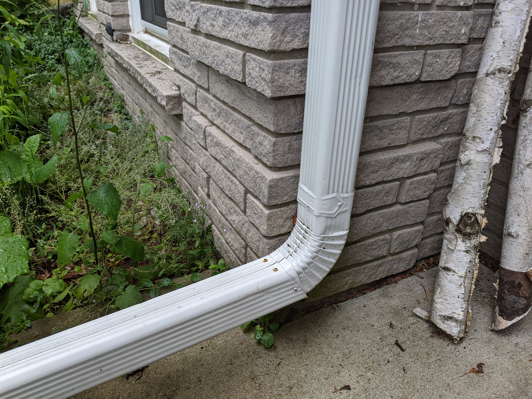 PXL_20210614_155212094