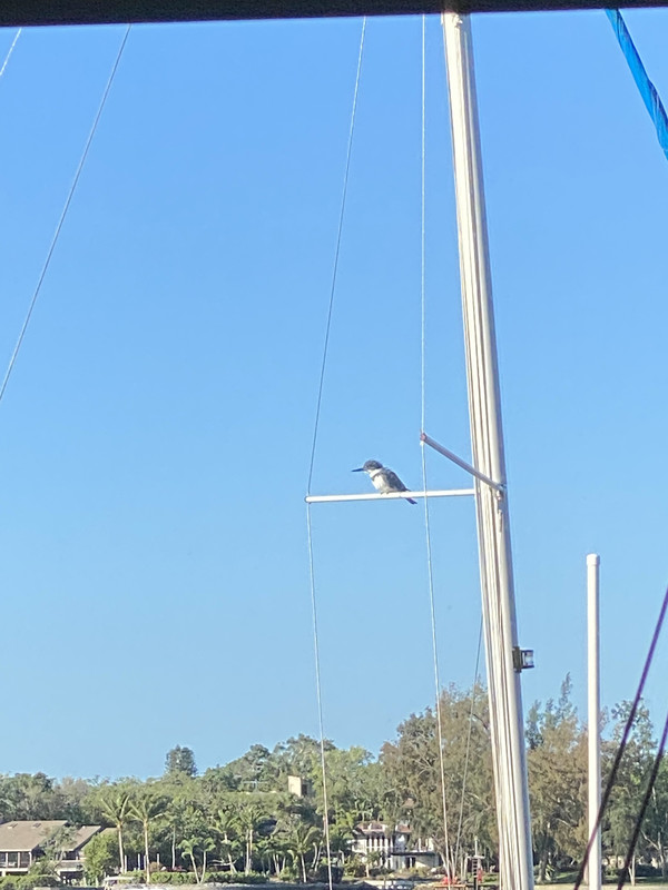 5E78F14A-D2D9-4E21-AB1D-1FE46BCCC8F1