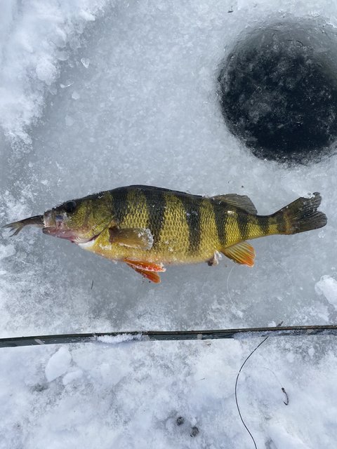 708480D6-EEED-4213-848A-B323943653AE