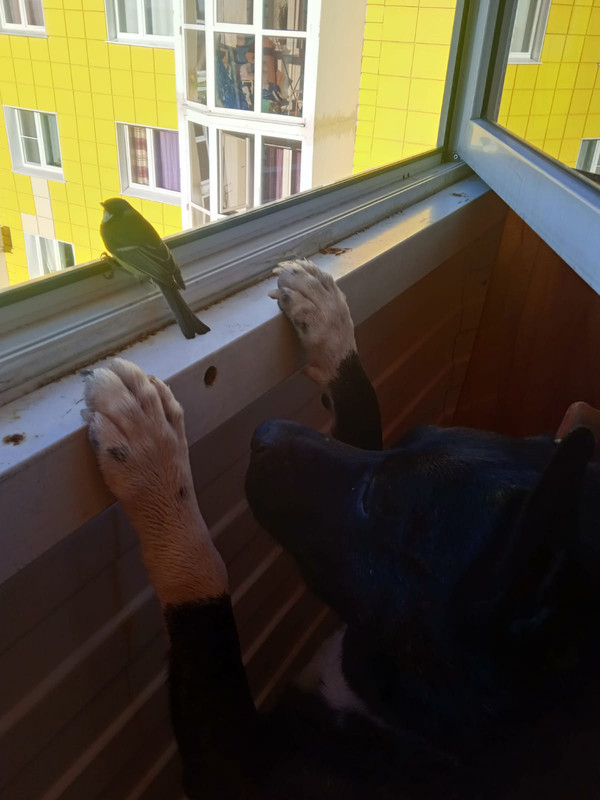 3B227032-CE3A-40DB-BC6B-3FF1E973C63E