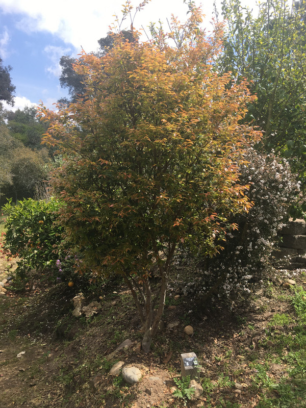 641000DE-3CEA-4E95-B786-1160D474FB7F