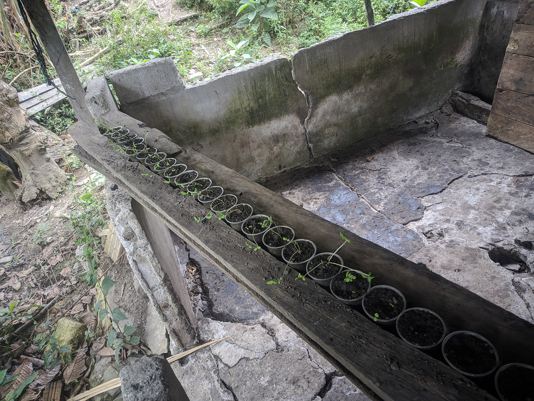 HC_20220918_121336_null