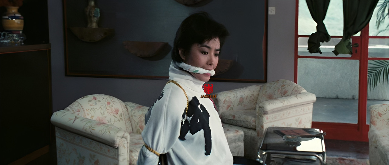 Brigitte Lin 5 - Police Story 1985