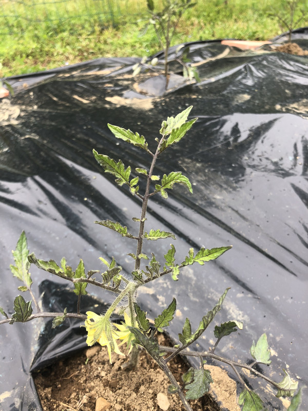 6C4D1738-E4A5-40A7-8550-CFB7141C0A17