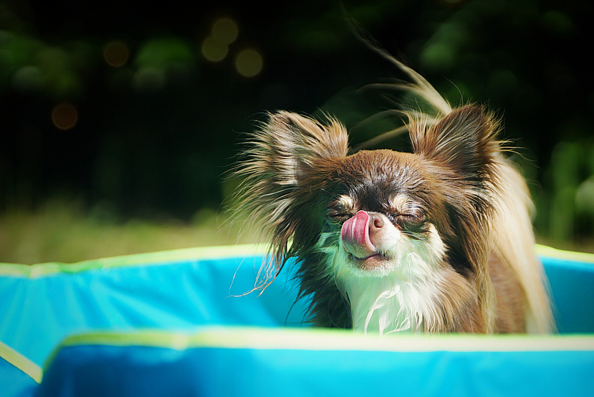 Lumii_20210614_171333729