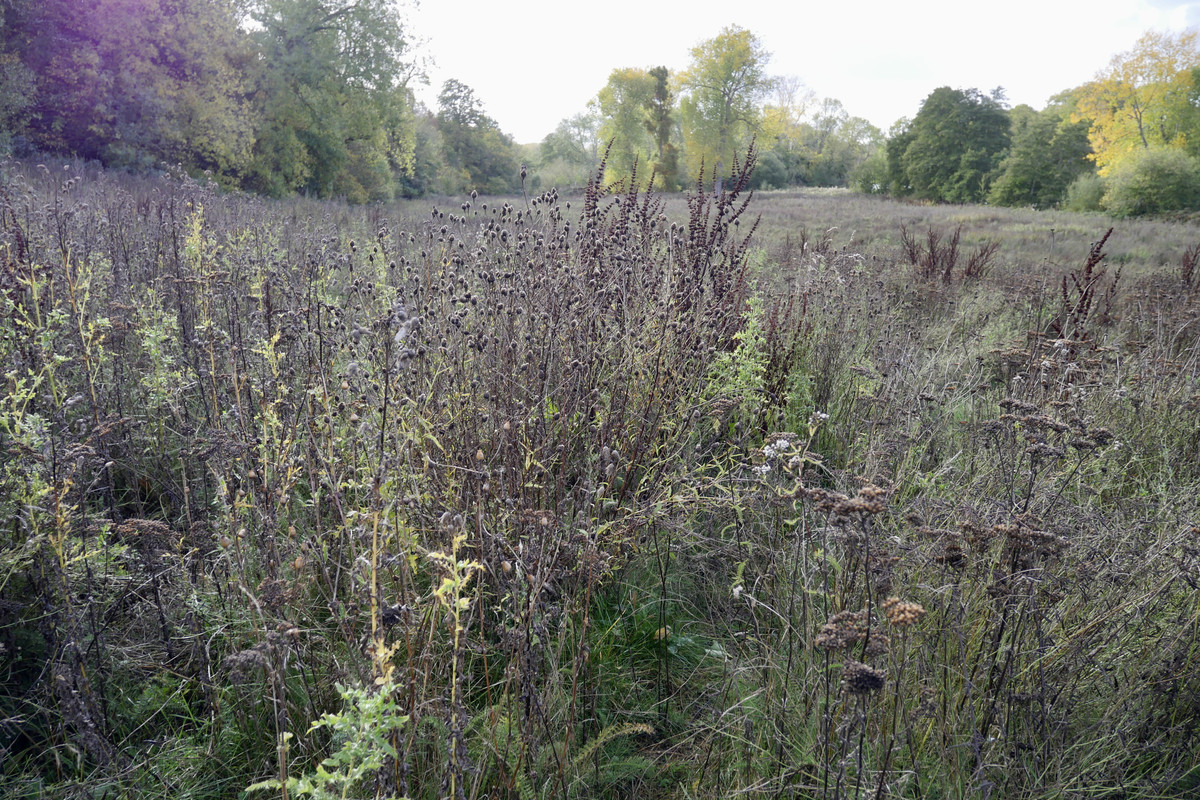 AA0F0F11-10E1-4F26-8030-5FBB8D020664