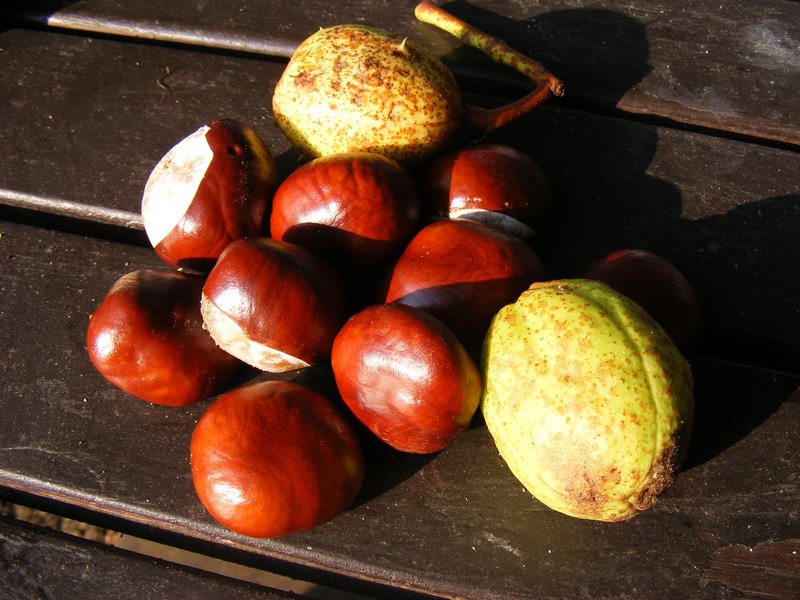 DSCF2291.jpg