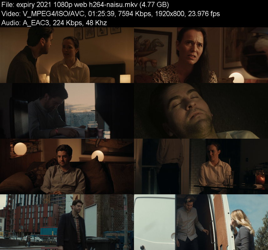 expiry-2021-1080p-web-h264-naisu.png