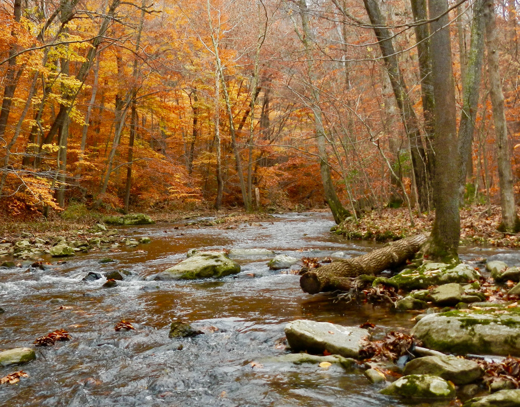 146A9090-467B-4856-B925-FFAE441573C7