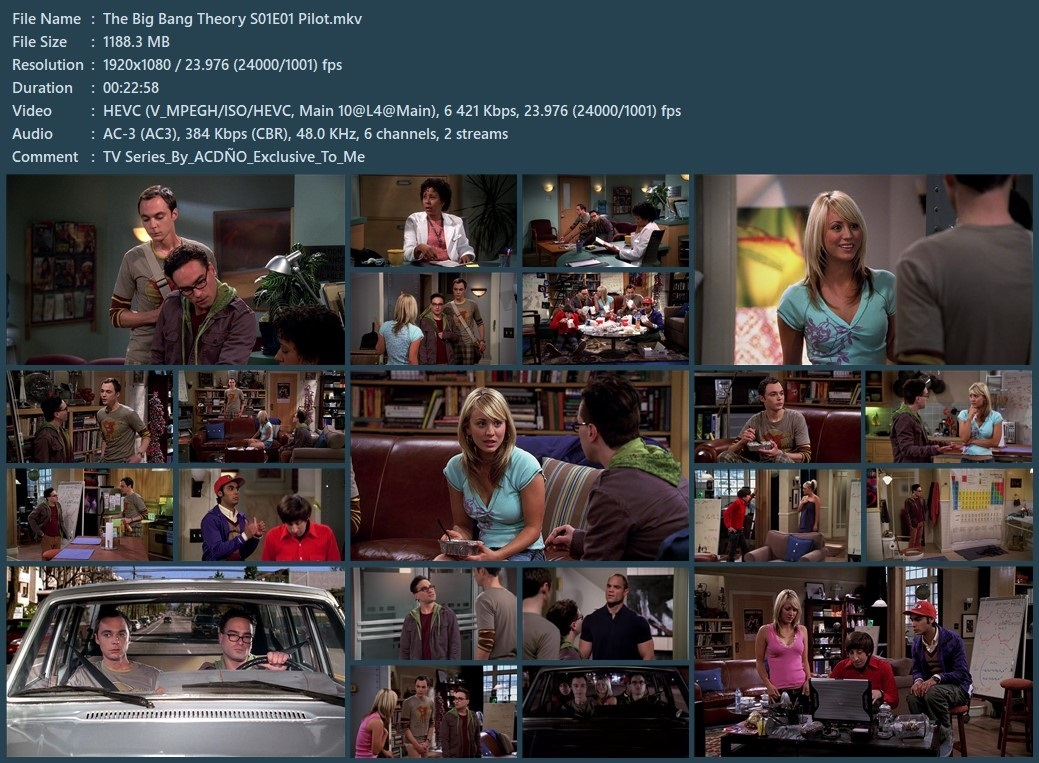 The Big Bang Theory Season 1 x265 10Bits 1080p Dual