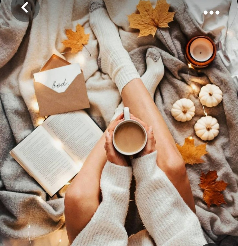 Screenshot_20231015_195816_Pinterest