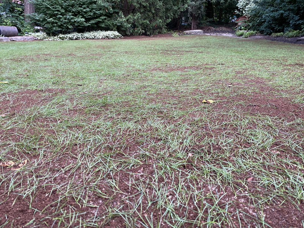 5B4C3FD2-E5D7-4E1F-892B-5138616F0456