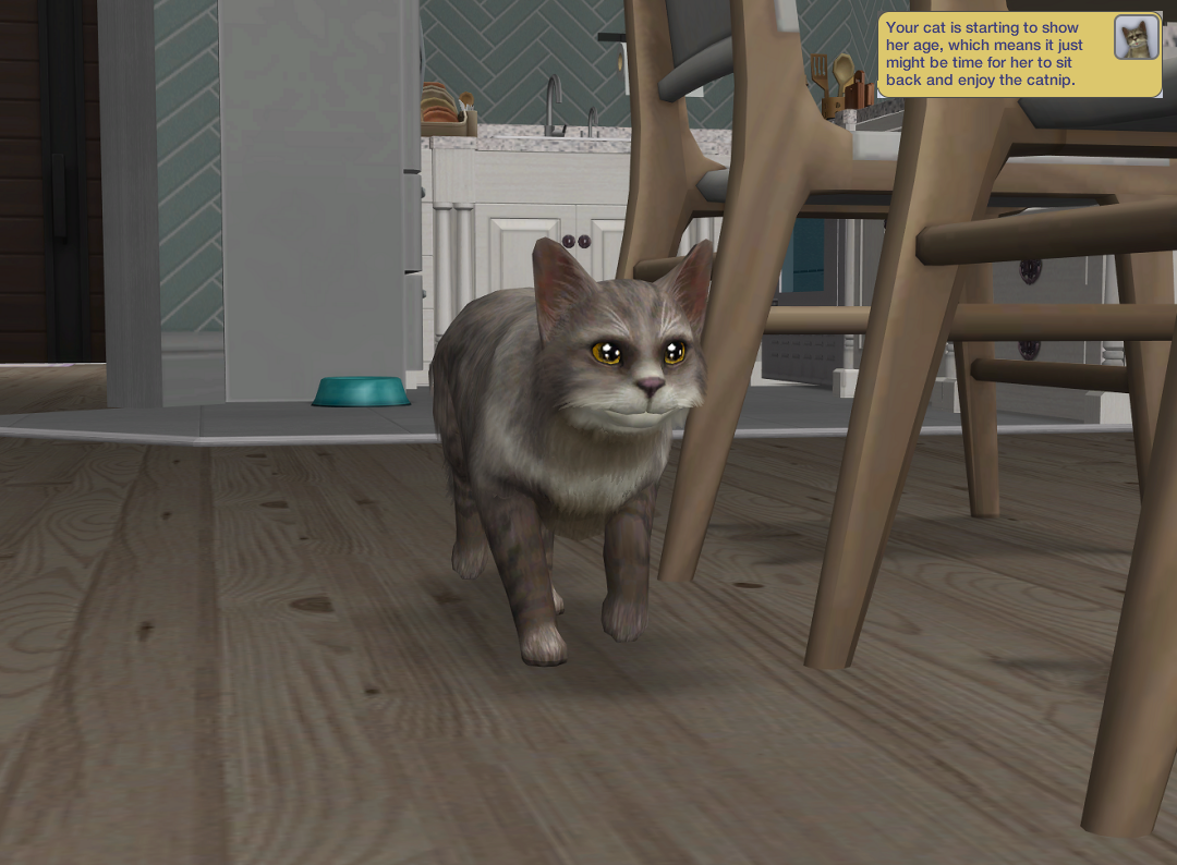 ksnip-20250810-141933