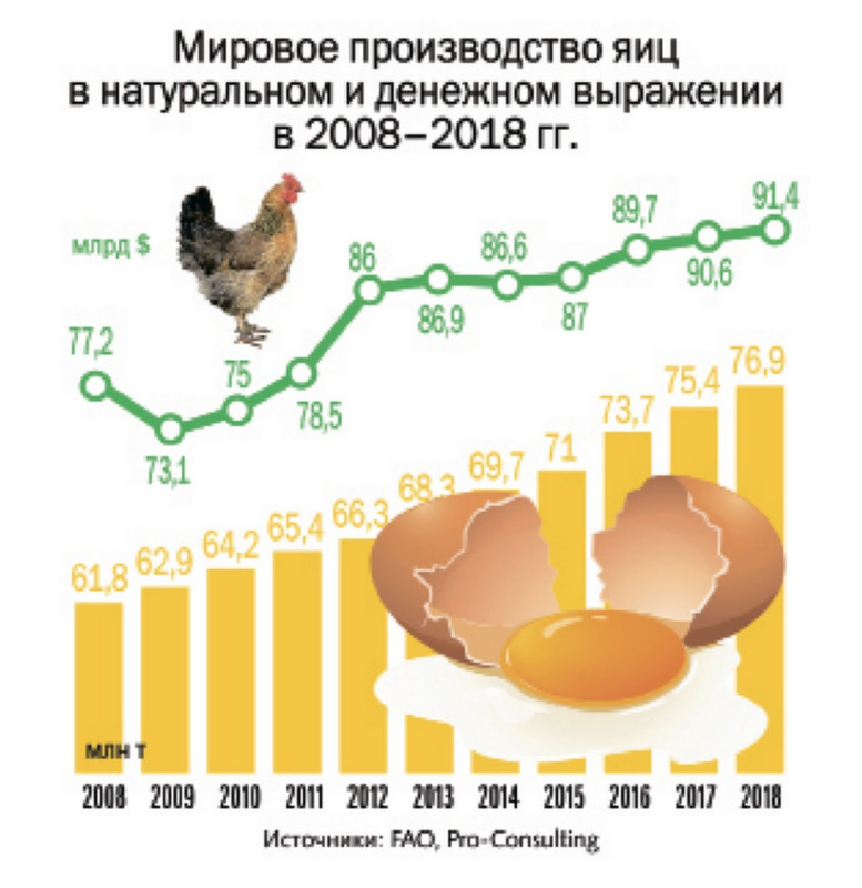 Стоимость Яиц На Украине Сегодня