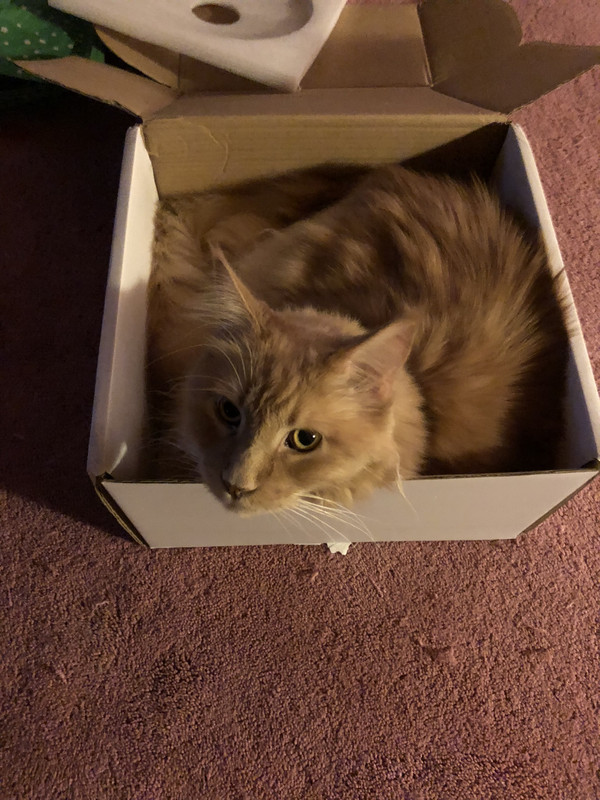 A23E10B0-5BAB-40C3-AFED-C74450B2BD93