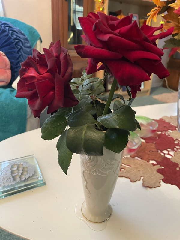 E8473191-9B32-4724-A9B6-C179C99D1732_1_105_c