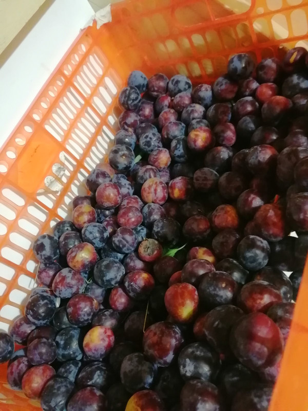 IMG-c6b58667bd6050c38a0f75710dd67aba-V