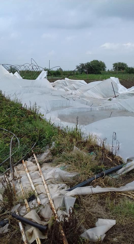 35228034_1917834274914529_8030537126288293888_n (1)