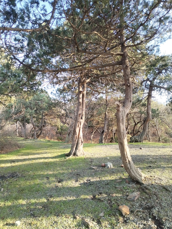 IMG_20240210_161837_edit_122599157053127