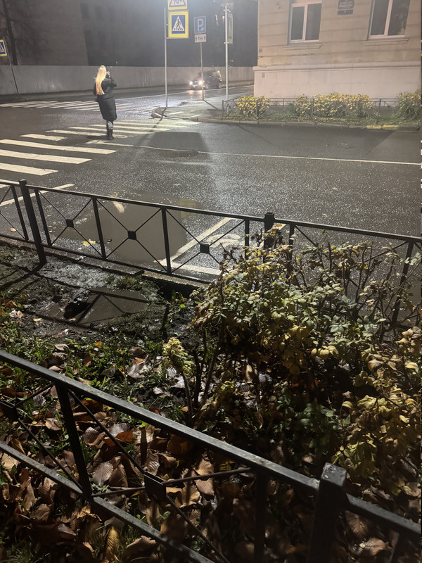 IMG 2558
