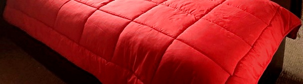 cover-cropped.jpg
