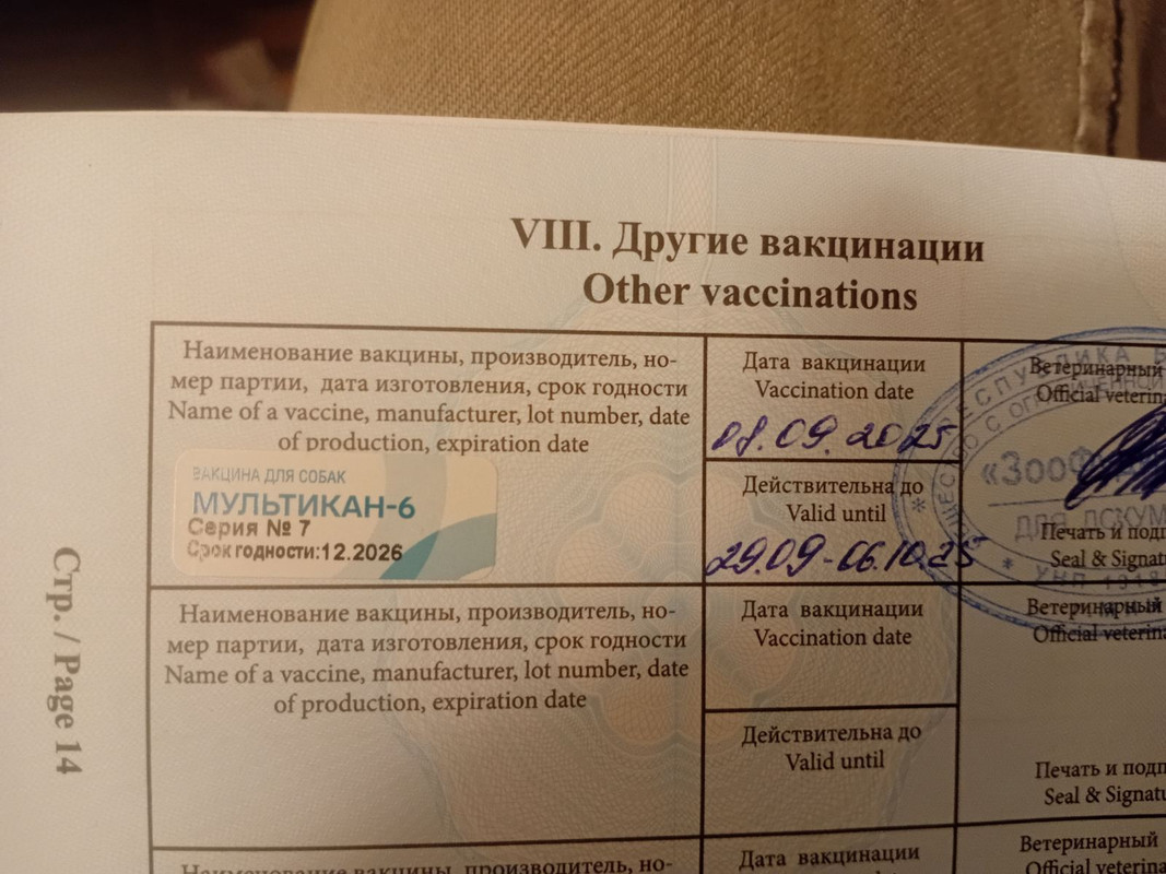 IMG-beb87dd2d7a0b7fe8f2a632db5cc9f0e-V