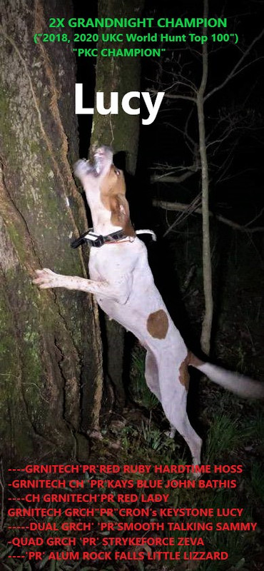 Resized_IMG_4697 (3)