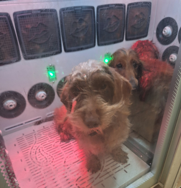 [Image: 20241107-120829.jpg]