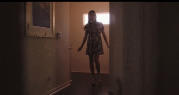SS1.gif