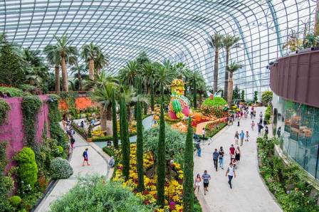 Top 10 Facts About Living Conditions in Singapore