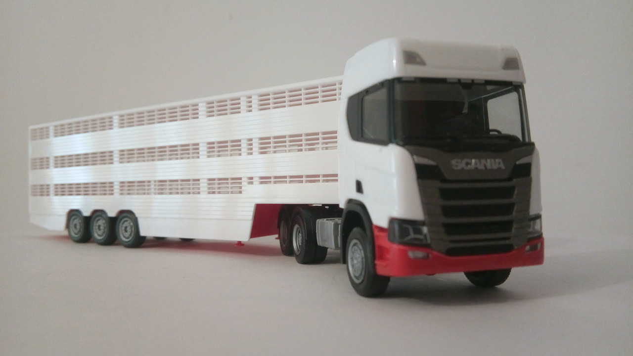 Mache (9197)