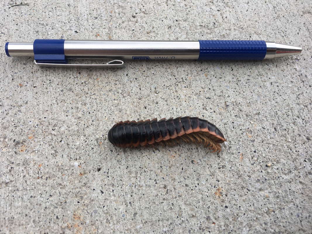 8C1D1FBD-7410-44B1-98E9-F7AA53B42076