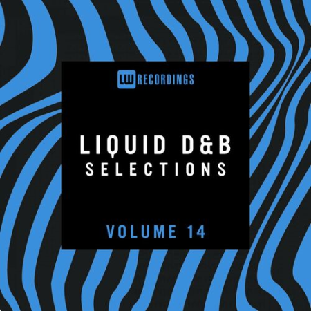 bc96bffd 5294 4b3f 967c 1bf63461c9c1 - VA - Liquid Drum & Bass Selections Vol.14 (2022)
