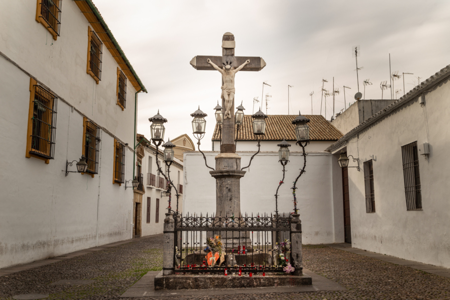 3er DIA MIÉRCOLES 11 DE MARZO - CORDOBA + MEDINA AZAHARA (19)