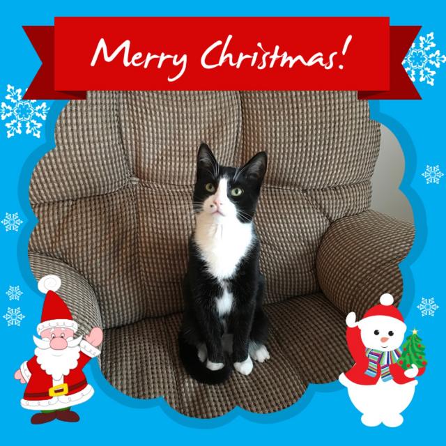 4C7BB494-CAAC-4BA6-BC7D-8DDA5A7B8725