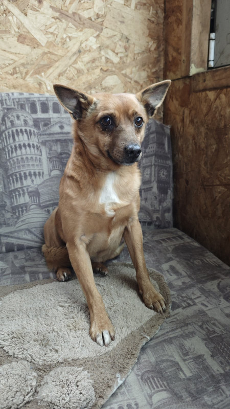 IMG-b460f1be685d222006d69765ce5bb242-V (1)