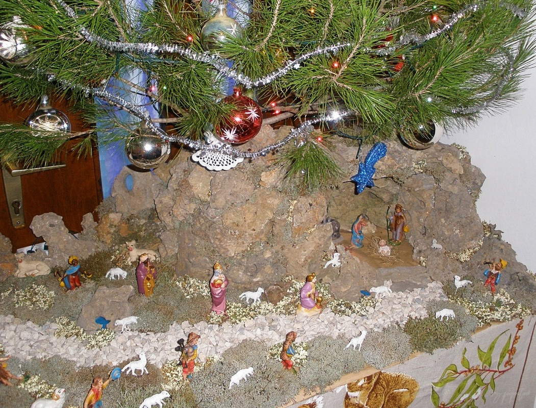 PC230611 - kopija - kopija (2)