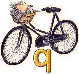 Bici Porta Flores  Q
