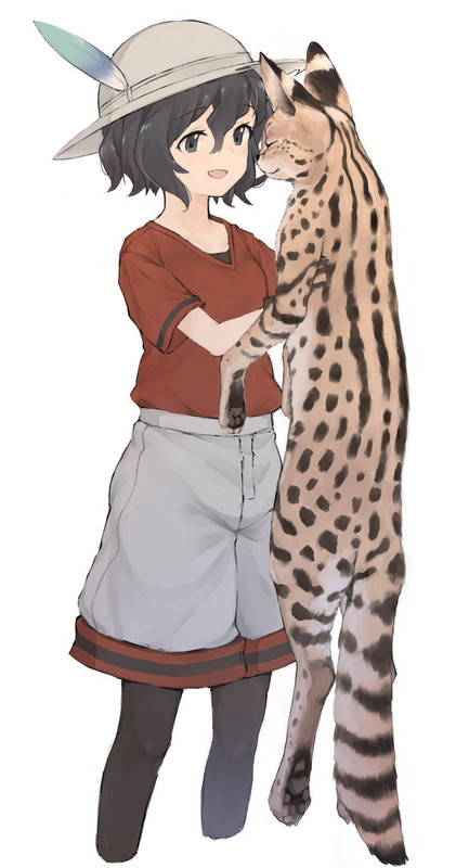 kaban-kemono-friends-drawn-by-alenka-fe96b3985f258b0451c4d692f02f99ab-1