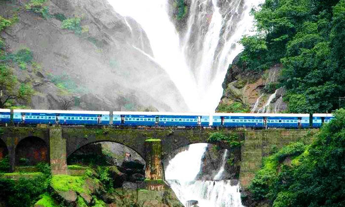 Best Things to Do in India for Nature Lovers