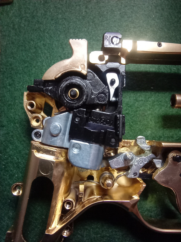 gold rhino side plate removed close up