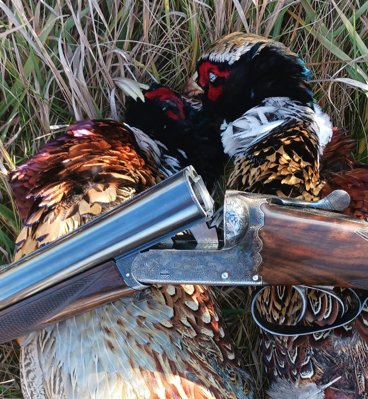 [Linked Image from i.postimg.cc]