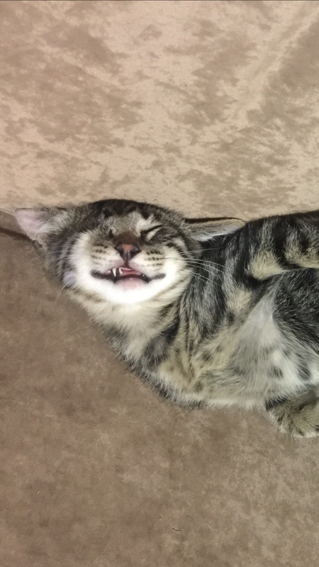 2210CD4E-3EA5-491C-BB1C-B4261D782A9A