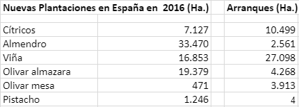 Evolución de la superficie de olivar en España Nuevas_plantaciones