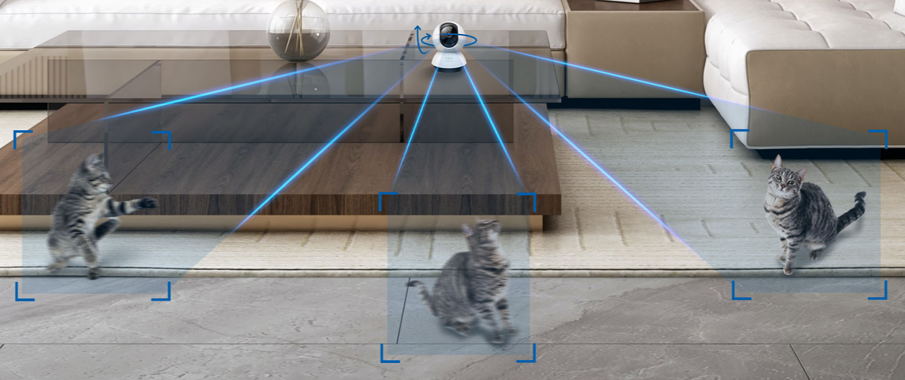 Cámara Wi-Fi TP-Link Tapo C220