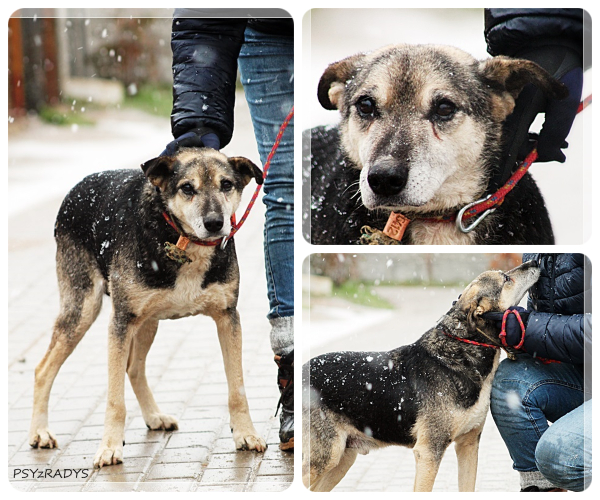 BeFunky-collage (19)