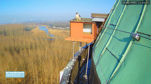 Axel/Watertoren - Pagina 5 Przechwytywanie-w-trybie-pe-noekranowym-13-02-2023-111623